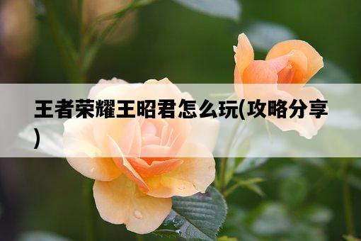 王者榮耀王昭君怎么玩，攻略分享-圖1