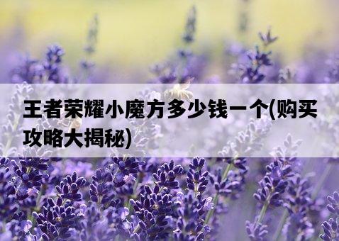 王者榮耀小魔方多少錢一個，購買攻略大揭秘-圖1