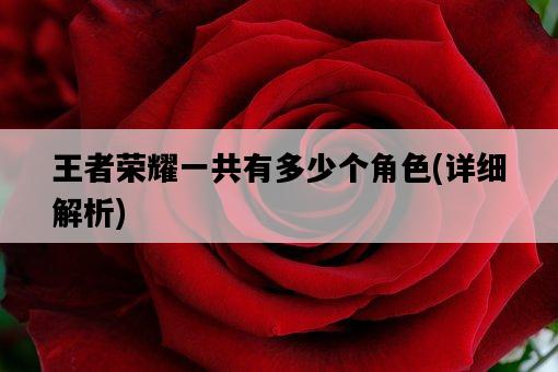 王者榮耀一共有多少個角色，詳細解析-圖1