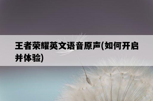 王者榮耀英文語音原聲，如何開啟并體驗-圖1
