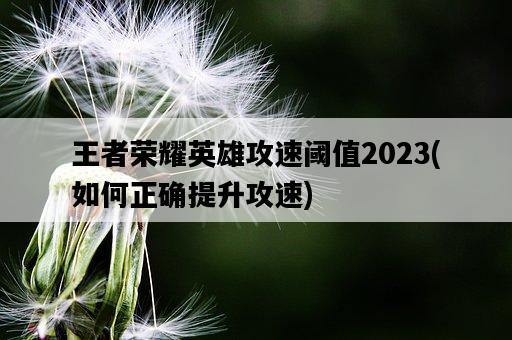 王者榮耀英雄攻速閾值2023，如何正確提升攻速-圖1
