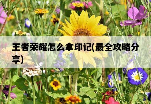 王者榮耀怎么拿印記，最全攻略分享-圖1