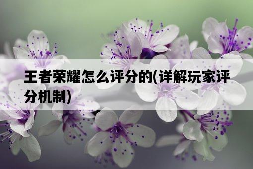 王者榮耀怎么評分的，詳解玩家評分機制-圖1