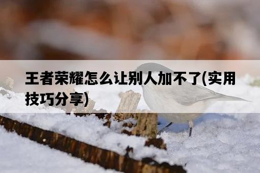 王者榮耀怎么讓別人加不了，實用技巧分享-圖1