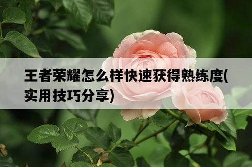 王者榮耀怎么樣快速獲得熟練度，實用技巧分享-圖1
