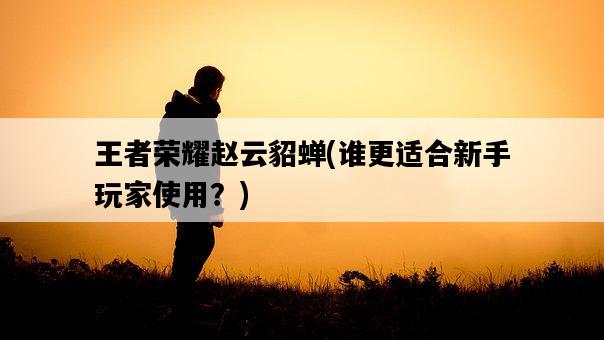 王者榮耀趙云貂蟬，誰更適合新手玩家使用？-圖1