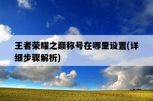 王者榮耀之巔稱號在哪里設置，詳細步驟解析-圖1