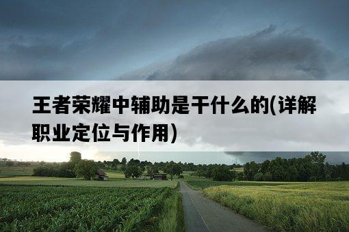 王者榮耀中輔助是干什么的，詳解職業定位與作用-圖1