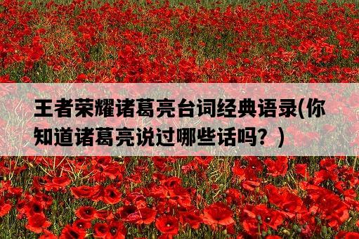 王者榮耀諸葛亮臺詞經典語錄，你知道諸葛亮說過哪些話嗎？-圖1