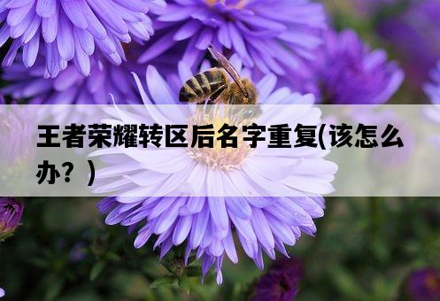 王者榮耀轉區后名字重復，該怎么辦？-圖1