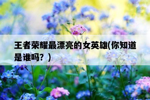 王者榮耀最漂亮的女英雄，你知道是誰嗎？-圖1