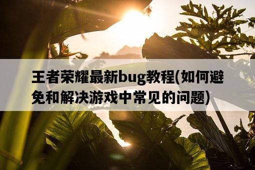 王者榮耀最新bug教程，如何避免和解決游戲中常見的問題-圖1