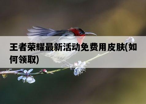 王者榮耀最新活動免費用皮膚，如何領取-圖1