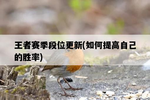 王者賽季段位更新，如何提高自己的勝率-圖1