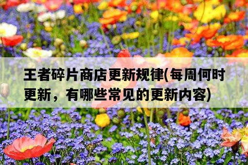 王者碎片商店更新規律，每周何時更新，有哪些常見的更新內容-圖1
