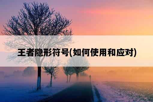 王者隱形符號，如何使用和應對-圖1