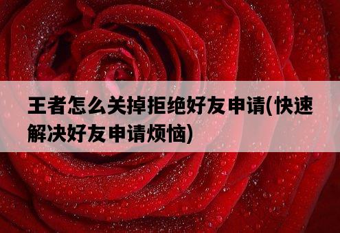 王者怎么關掉拒絕好友申請，快速解決好友申請煩惱-圖1