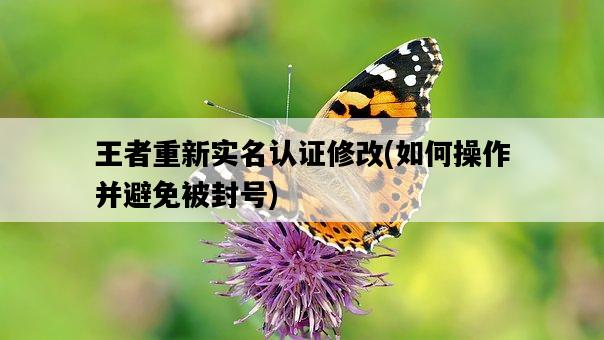王者重新實名認證修改，如何操作并避免被封號-圖1