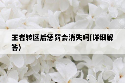 王者轉區后懲罰會消失嗎，詳細解答-圖1