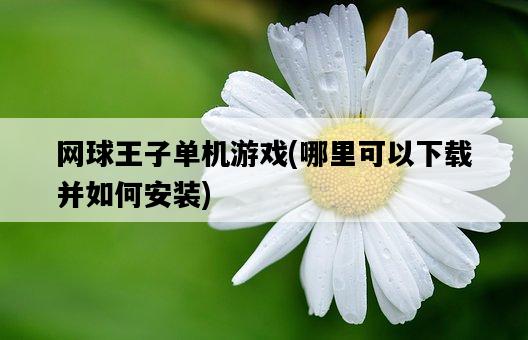 網球王子單機游戲，哪里可以下載并如何安裝-圖1