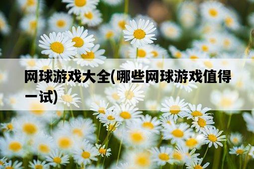網球游戲大全，哪些網球游戲值得一試-圖1