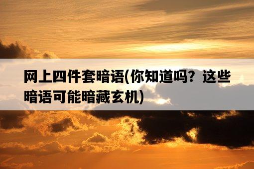 網上四件套暗語，你知道嗎？這些暗語可能暗藏玄機-圖1