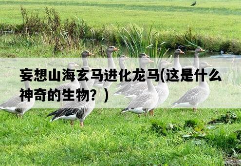 妄想山海玄馬進化龍馬，這是什么神奇的生物？-圖1