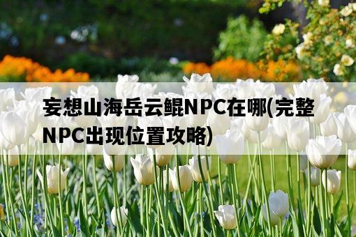 妄想山海岳云鯤NPC在哪，完整NPC出現位置攻略-圖1