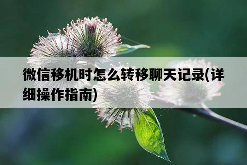 微信移機時怎么轉移聊天記錄，詳細操作指南-圖1