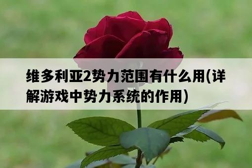 維多利亞2勢力范圍有什么用，詳解游戲中勢力系統的作用-圖1