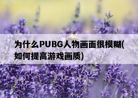 為什么PUBG人物畫面很模糊，如何提高游戲畫質-圖1