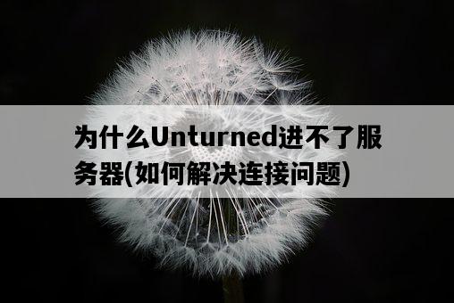 為什么Unturned進不了服務器，如何解決連接問題-圖1