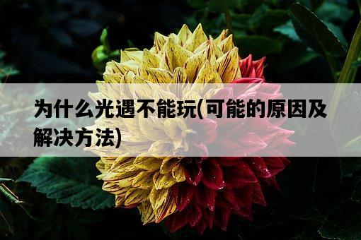 為什么光遇不能玩，可能的原因及解決方法-圖1