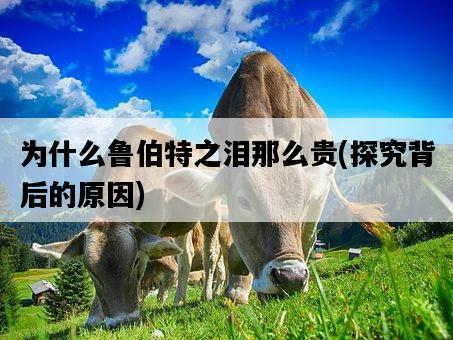 為什么魯伯特之淚那么貴，探究背后的原因-圖1