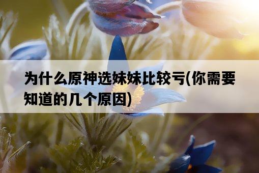 為什么原神選妹妹比較虧，你需要知道的幾個原因-圖1