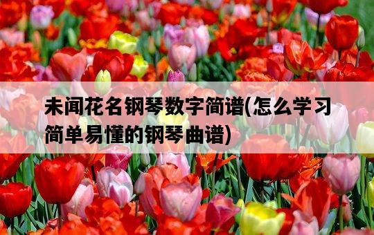 未聞花名鋼琴數字簡譜，怎么學習簡單易懂的鋼琴曲譜-圖1