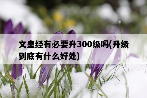 文皇經有必要升300級嗎，升級到底有什么好處-圖1
