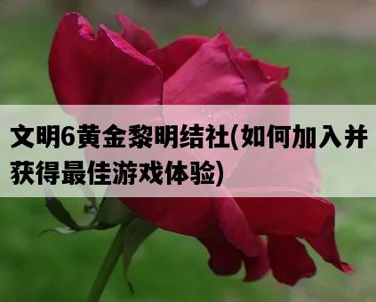 文明6黃金黎明結社，如何加入并獲得最佳游戲體驗-圖1