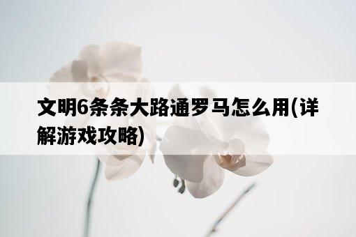 文明6條條大路通羅馬怎么用，詳解游戲攻略-圖1