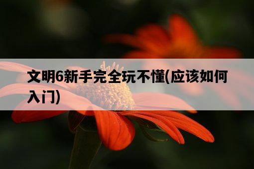 文明6新手完全玩不懂，應該如何入門-圖1