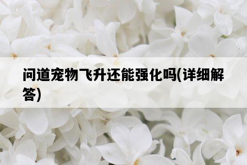 問道寵物飛升還能強化嗎，詳細解答-圖1