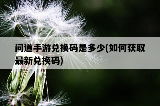 問道手游兌換碼是多少，如何獲取最新兌換碼-圖1