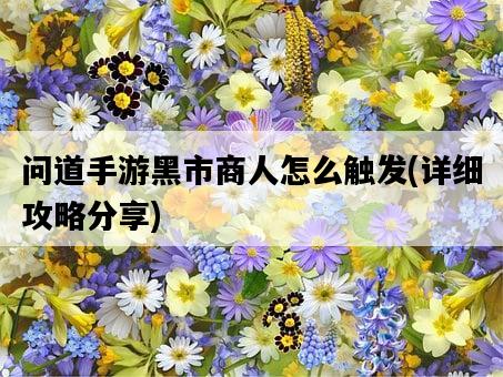 問道手游黑市商人怎么觸發，詳細攻略分享-圖1