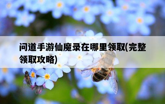 問道手游仙魔錄在哪里領取，完整領取攻略-圖1