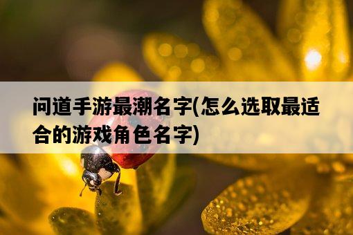 問道手游最潮名字，怎么選取最適合的游戲角色名字-圖1