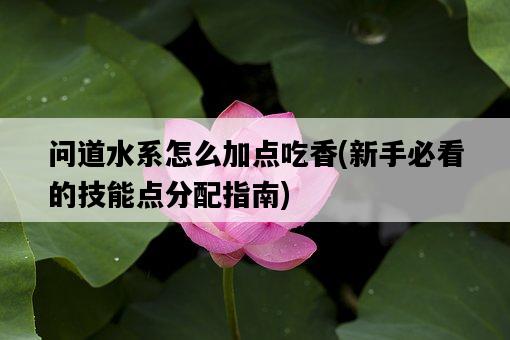 問道水系怎么加點吃香，新手必看的技能點分配指南-圖1