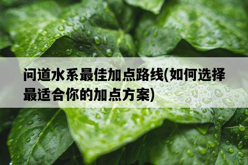 問道水系最佳加點路線，如何選擇最適合你的加點方案-圖1