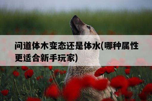 問道體木變態還是體水，哪種屬性更適合新手玩家-圖1