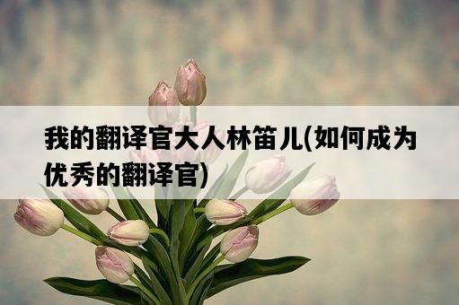 我的翻譯官大人林笛兒，如何成為優秀的翻譯官-圖1