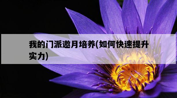 我的門派邀月培養，如何快速提升實力-圖1